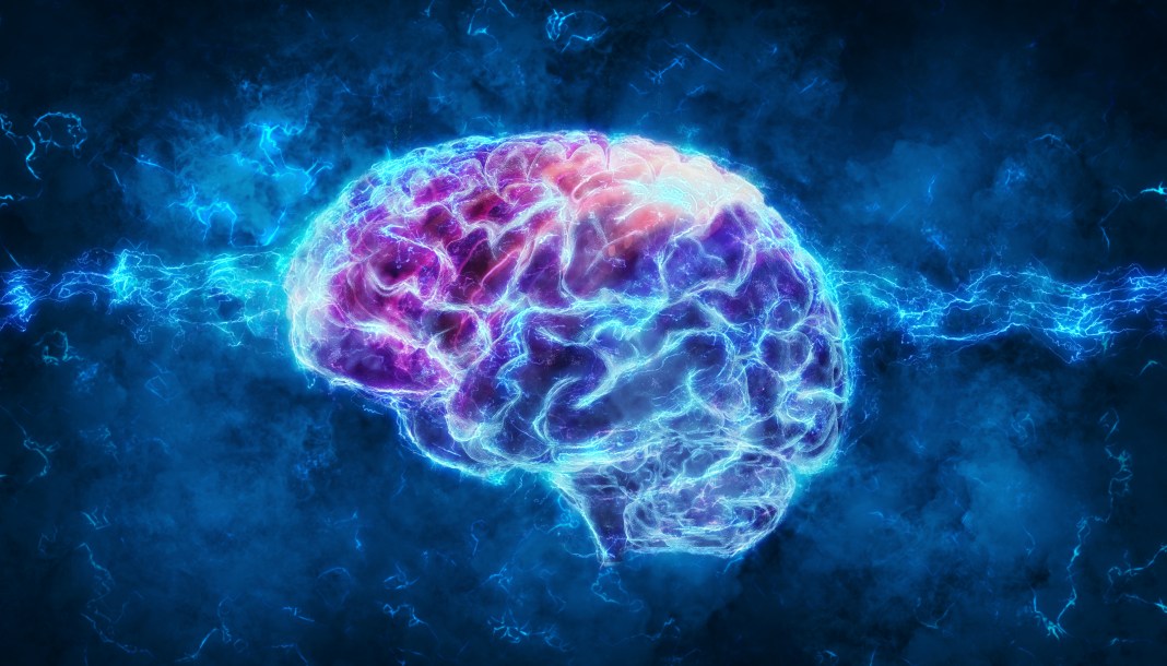 Certificación Internacional de Especialización en Neurodesarrollo: Diagnóstico e Intervención Clínica en Trastornos del Neurodesarrollo